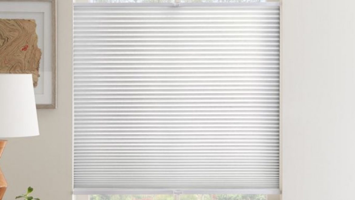 Zebra Roller Blind